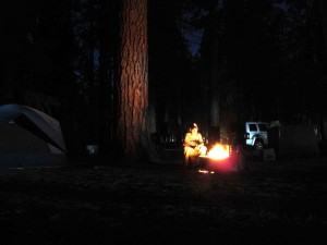 my home for the week: Upper Pines campground, site #142